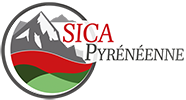 Sica Pyrénéenne